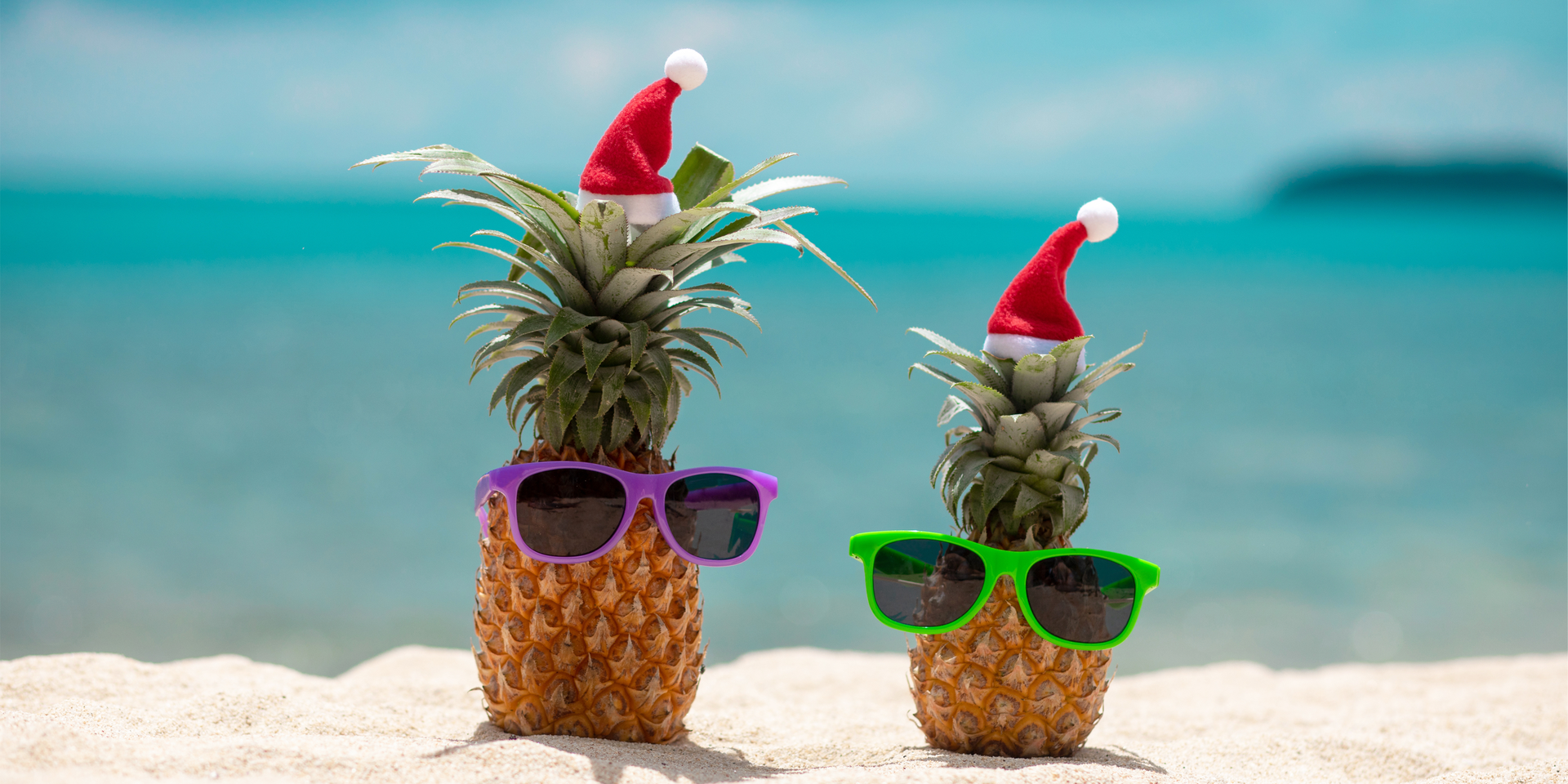 thumbnails From leis to leaks: Urology education with a festive Hawaiian Christmas atmosphere